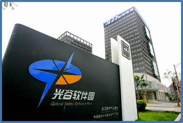 正面图